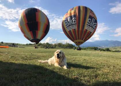 C7305320-9DF6-4501-8FE6-BEA37AC76C37