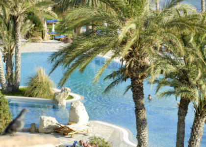 cbh s.pool and gardens (3)