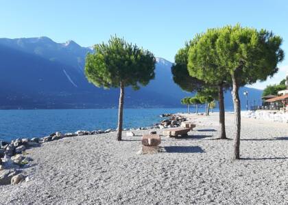 lemon-on-garda-3824239__480