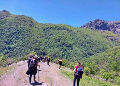 viber_image_2022-05-23_11-19-53-504-1024x768-1